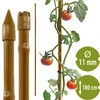 Tyczka stalowa powlekana o kształcie bambusa, 180 cm x 11mm - 7 tyczka ogrodowa, tyczka do roślin, podpora do roślin, podpora ogrodowa, podpory ogrodowe metalowe, podpora do roślin pnących, podpory do kwiatów pnących, metalowe podpory do kwiatów, tyczki metalowe powlekane, tyczka do roślin powlekana, tyczka stalowa o kształcie bambusa, akcesoria ogrodnicze, jak dbać o rośliny, polecane tyczki do roślin, tyczka zielona, tyczki stalowe a la bambus, tyczki bambus, tyczki w formie bambusa, podpora w kształcie bambusa