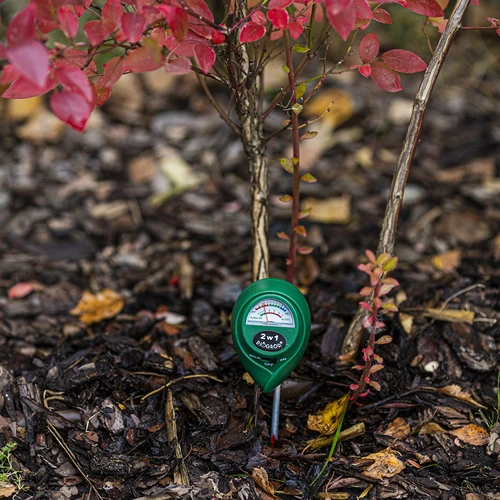 2 viename dirvožemio testeris - pH, drėgmė - 10