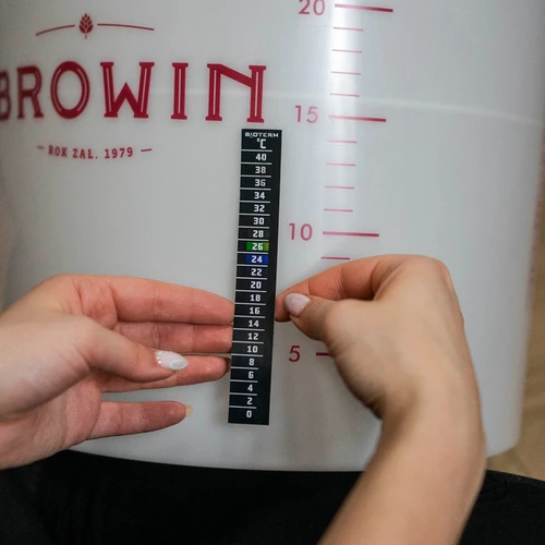 Alaus fermentacijos indas su fermentacijos vamzdeliu, čiaupu, termometru ir nuosėdų reduktoriumi - 17