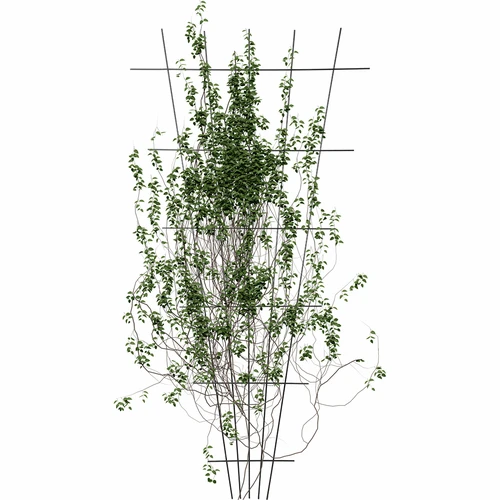 Atrama augalams - siaurėjanti sodo grotelė 150 x 75cm - 3