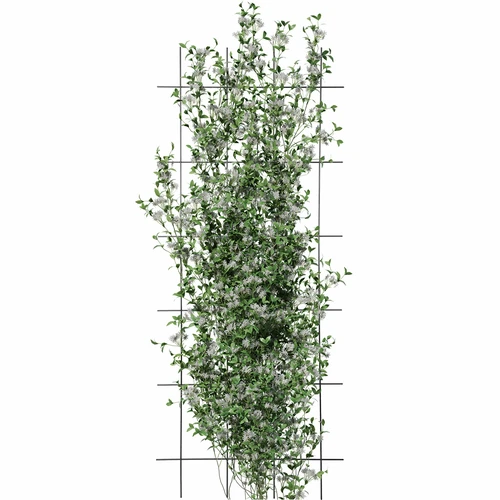 Augalų atrama – sodo grotelės 150 x 60cm - 3