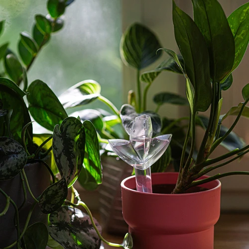 Augalų laistymo dozatorius – permatomas lapelis su keramine kojele, 120 ml - 9