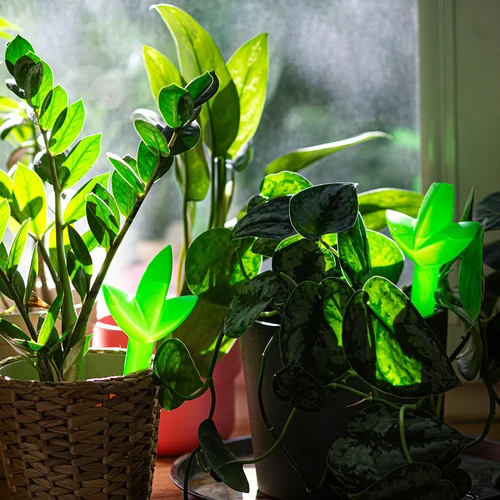 Augalų laistymo dozatorius – žalias lapelis, 120 ml - 7