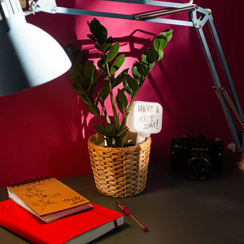 Augalų laistymo įrenginys – balta lentelė su keraminiu smaigaliu, 200 ml - 11