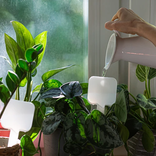 Augalų laistymo įrenginys – balta lentelė su keraminiu smaigaliu, 200 ml - 8