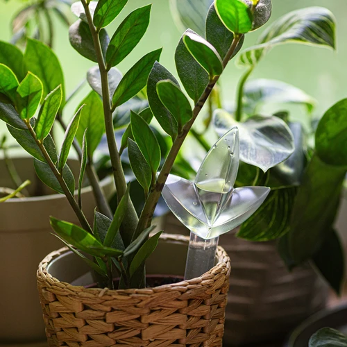 Augalų laistymo įtaisas – skaidrus lapelis, 120 ml - 7