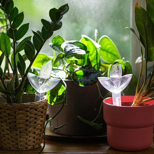 Augalų laistymo įtaisas – skaidrus lapelis, 120 ml - 9