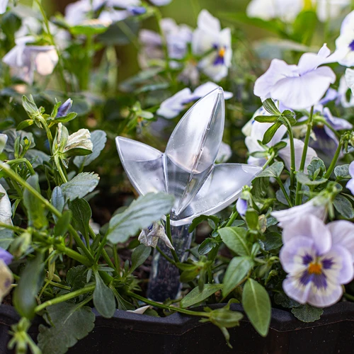 Augalų laistymo įtaisas – skaidrus lapelis, 120 ml - 8