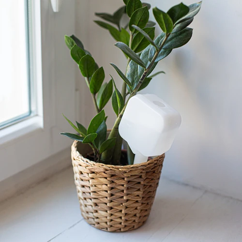 Augalų laistytuvas – balta lentelė, 200 ml - 9