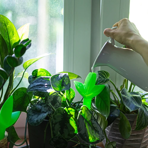 Augalų laistytuvas – žalias lapelis su keraminiu smaigu, 120 ml - 8