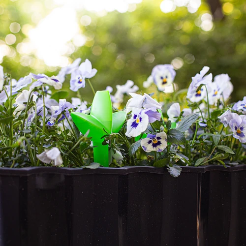 Augalų laistytuvas – žalias lapelis su keraminiu smaigu, 120 ml - 9