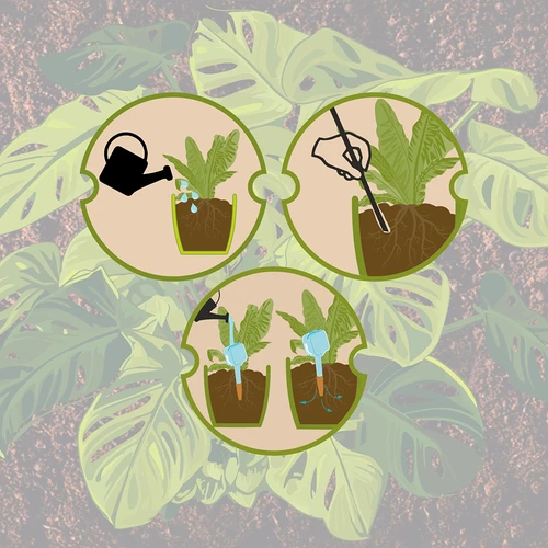 Augalų savaiminio laistymo įrenginys – juoda lentelė su keraminiu smaigu, 200 ml - 10