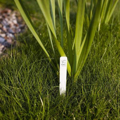 Augalų žymėjimo lentelės + pieštukas, mišrus rinkinys 10+20 vnt. - 7