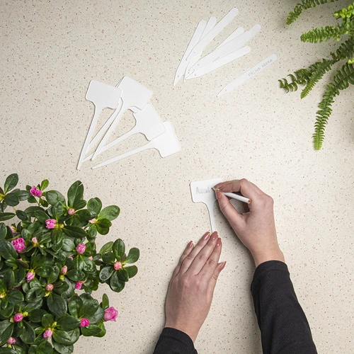 Augalų žymėjimo lentelės + pieštukas, mišrus rinkinys 10+20 vnt. - 5