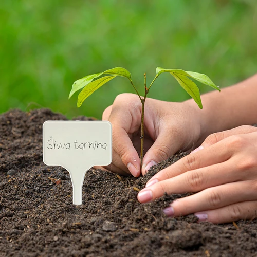 Augalų žymėjimo lentelės + pieštukas, mišrus rinkinys 10+20 vnt. - 10