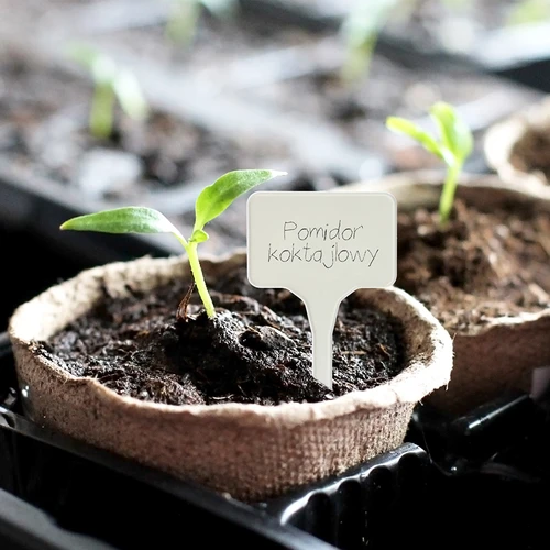 Augalų žymėjimo lentelės + pieštukas, mišrus rinkinys 10+20 vnt. - 11