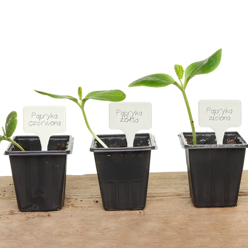 Augalų žymėjimo lentelės + pieštukas, mišrus rinkinys 10+20 vnt. - 12