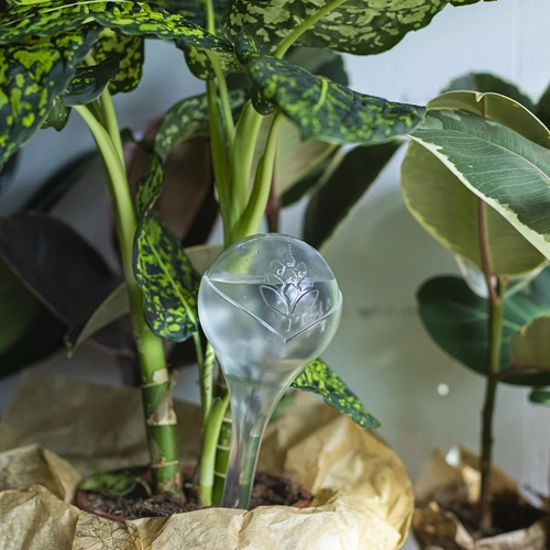 Augalams skirti laistymo kamuoliukai, skaidrūs, 400 ml, 2 vnt. - 11