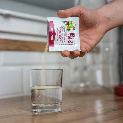 Bayanus mielės + maistinė medžiaga - universalios - 21%, 17 g - 5