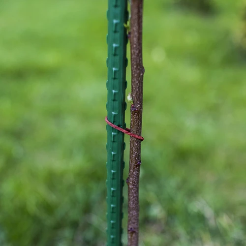 Bioogród sodo atraminės lazdelės – plieninės, dengtos, 1,5 m, fi 11 mm, 10 vnt. - 5