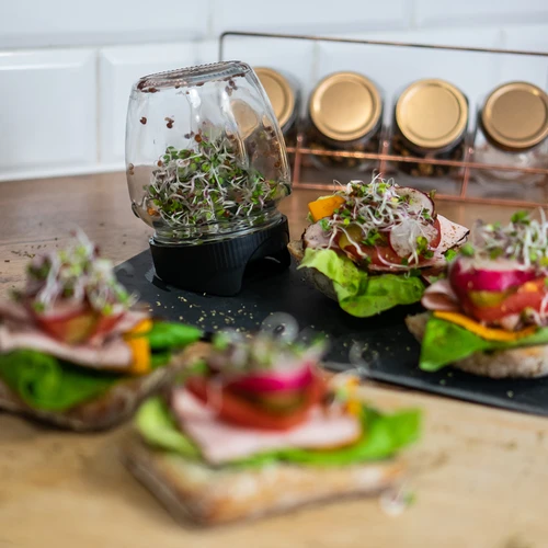 Daiginimo stiklainis Twist-off + 5 sėklų pakuočių - 11