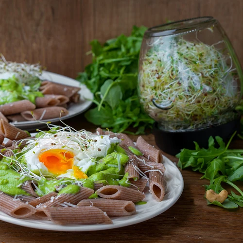 Daiginimo stiklainis Twist-off + 5 sėklų pakuočių - 15