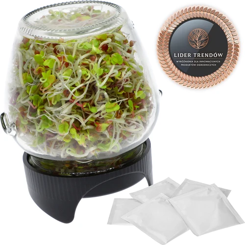 Daiginimo stiklainis Twist-off + 5 sėklų pakuočių