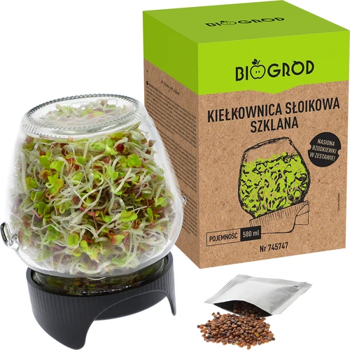 Daiginimo stiklainis „Twist-off“ su ridikų sėklomis - 5