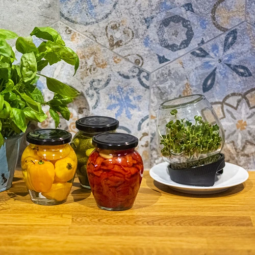 Daiginimo stiklainis „Twist-off“ su ridikų sėklomis - 14