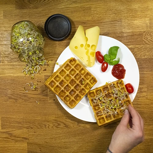 Daiginimo stiklainis „Twist-off“ su ridikų sėklomis - 13