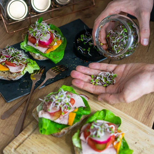 Daiginimo stiklainis „Twist-off“ su ridikų sėklomis - 12