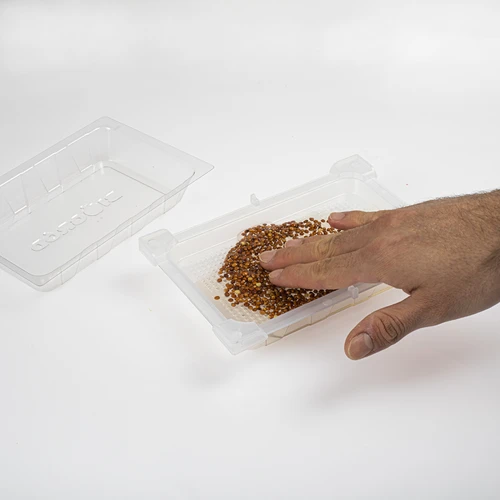 Daigyklė Zielona Czuprynka su ridikėlių sėklomis - 6