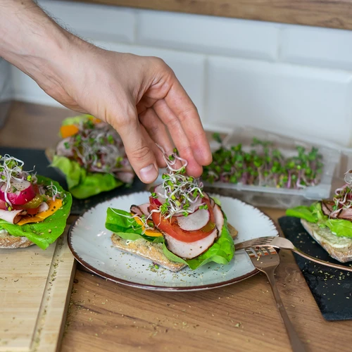 Daigyklė Zielona Czuprynka su ridikėlių sėklomis - 11