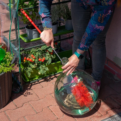 Damižonų plovimo šepetys - mažas - 3