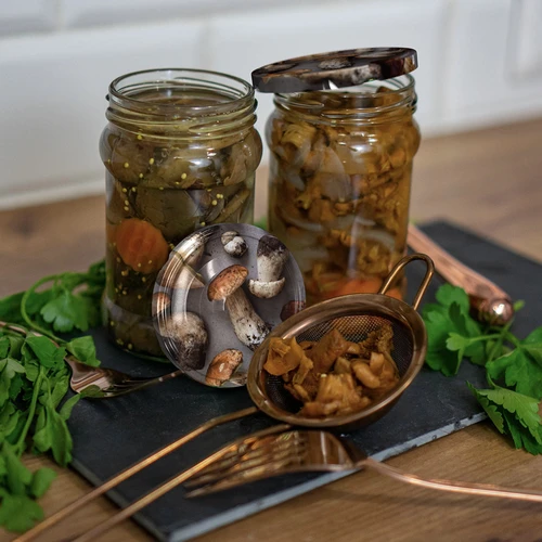 Dangtelis fi 66 grybai 2 - 10 vnt. - 4