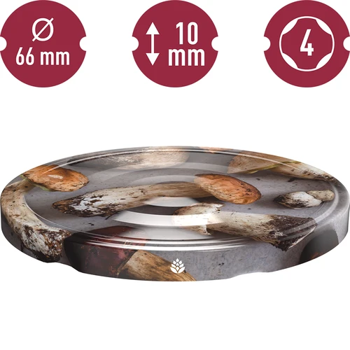 Dangtelis fi 66 grybai 2 - 10 vnt. - 3