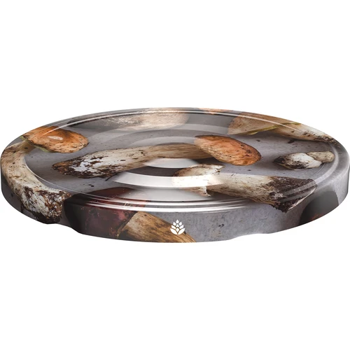 Dangtelis fi 66 grybai 2 - 10 vnt. - 2