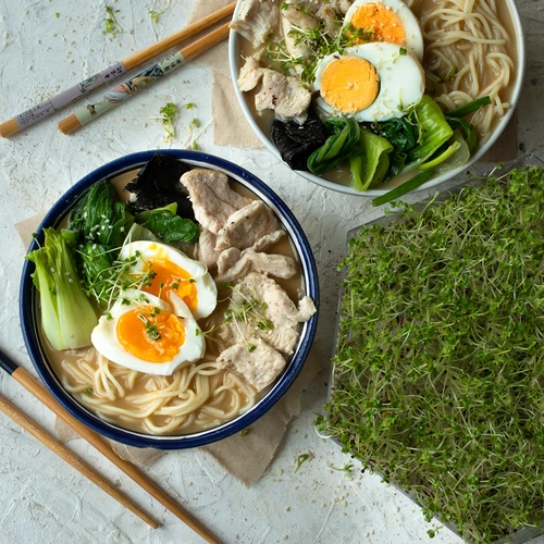 Daugiaaukštė daigyklė Niezłe Ziółko + 10 sėklų pakuočių - 19