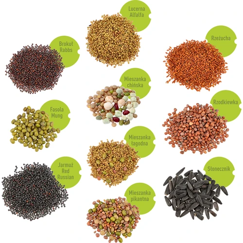 Daugiaaukštė daigyklė Niezłe Ziółko + 10 sėklų pakuočių - 3