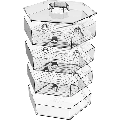 Daugiapakopė daigyklė Niezłe Ziółko su ridikėlių sėklomis - 7