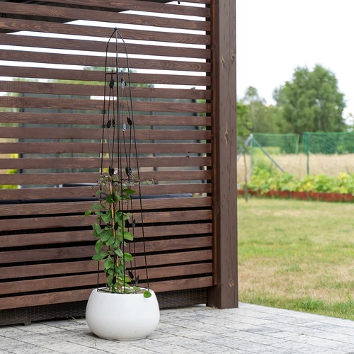 Dekoratyvinė pergola - piramidė, 150 cm - 5