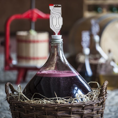 Drożdże Bayanus + pożywka - Uniwersalne - 21%, 17 g - 14
