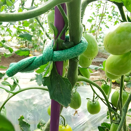 Drut ogrodniczy powlekany gąbką, zielony, 10 m, fi 10mm - 4