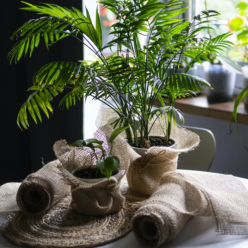 Džiuto juosta 10 cm/5 m - 9