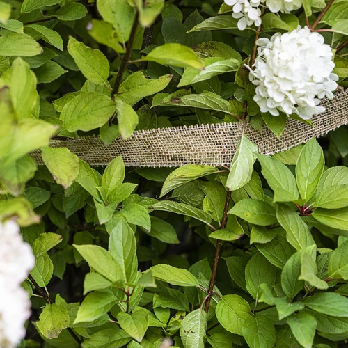 Džiuto juosta 5 cm /  8 m - 5