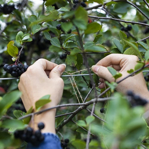 Džiuto virvelė 1,5 mm/100 m/100 g - 8