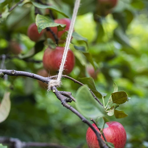 Džiuto virvelė 2 mm/235 m/500 g - 8