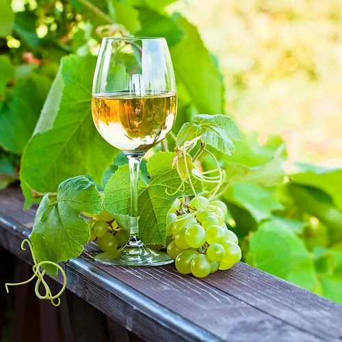 Enovini® OK WHITE - rūgštingumą mažinančios vyno mielės 7 g - 10