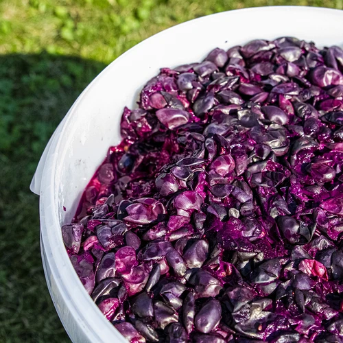 Fermentacijos indas 30 l su dangčiu - 12