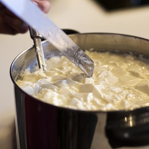 Fermentas sūriams 5x1 g - 7